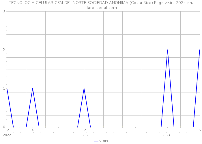 TECNOLOGIA CELULAR GSM DEL NORTE SOCIEDAD ANONIMA (Costa Rica) Page visits 2024 