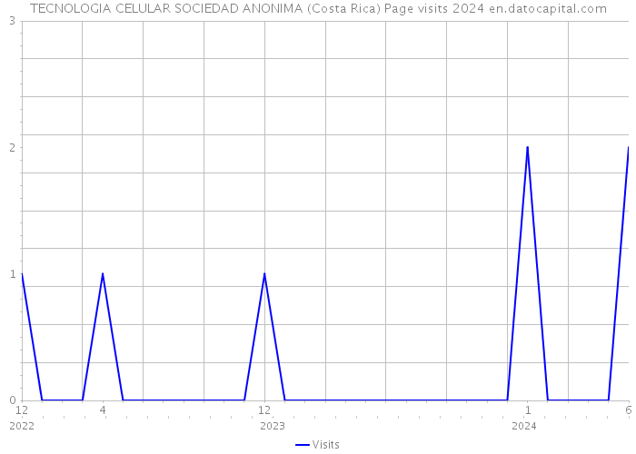 TECNOLOGIA CELULAR SOCIEDAD ANONIMA (Costa Rica) Page visits 2024 