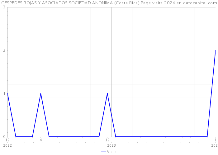 CESPEDES ROJAS Y ASOCIADOS SOCIEDAD ANONIMA (Costa Rica) Page visits 2024 