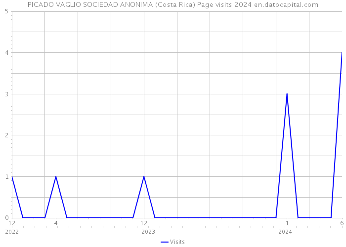 PICADO VAGLIO SOCIEDAD ANONIMA (Costa Rica) Page visits 2024 