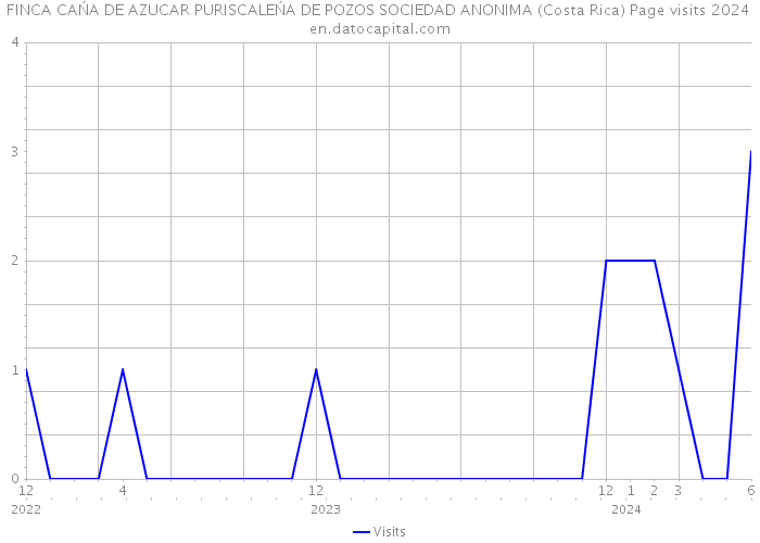 FINCA CAŃA DE AZUCAR PURISCALEŃA DE POZOS SOCIEDAD ANONIMA (Costa Rica) Page visits 2024 