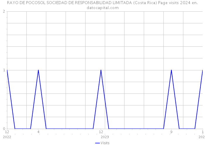 RAYO DE POCOSOL SOCIEDAD DE RESPONSABILIDAD LIMITADA (Costa Rica) Page visits 2024 