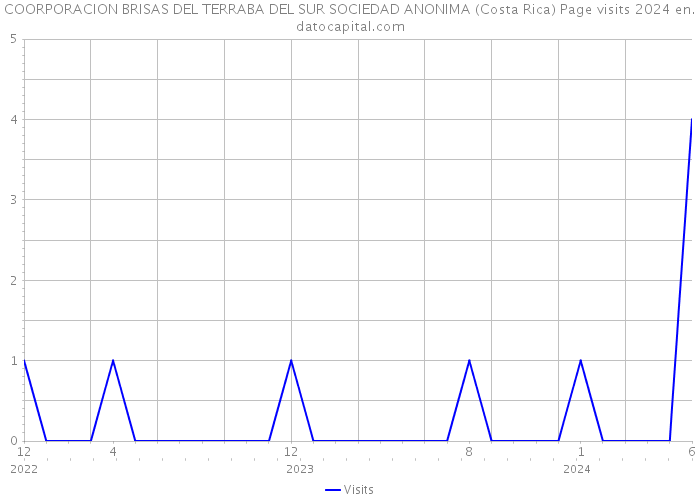 COORPORACION BRISAS DEL TERRABA DEL SUR SOCIEDAD ANONIMA (Costa Rica) Page visits 2024 