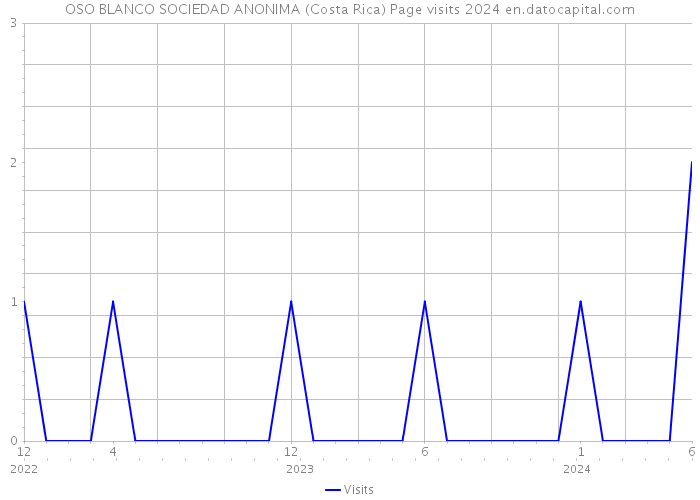 OSO BLANCO SOCIEDAD ANONIMA (Costa Rica) Page visits 2024 