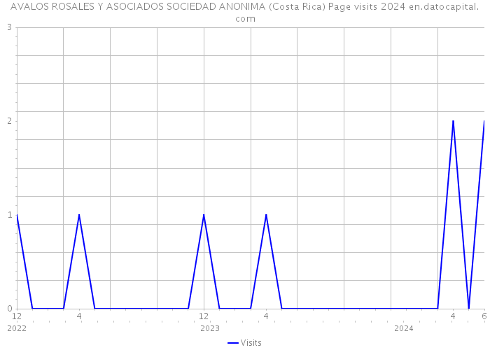 AVALOS ROSALES Y ASOCIADOS SOCIEDAD ANONIMA (Costa Rica) Page visits 2024 