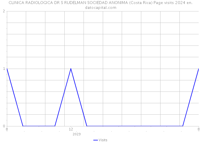 CLINICA RADIOLOGICA DR S RUDELMAN SOCIEDAD ANONIMA (Costa Rica) Page visits 2024 