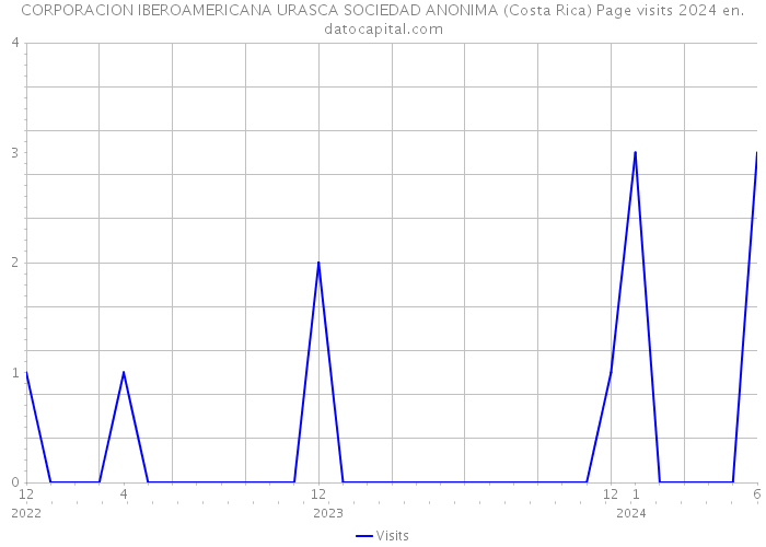 CORPORACION IBEROAMERICANA URASCA SOCIEDAD ANONIMA (Costa Rica) Page visits 2024 