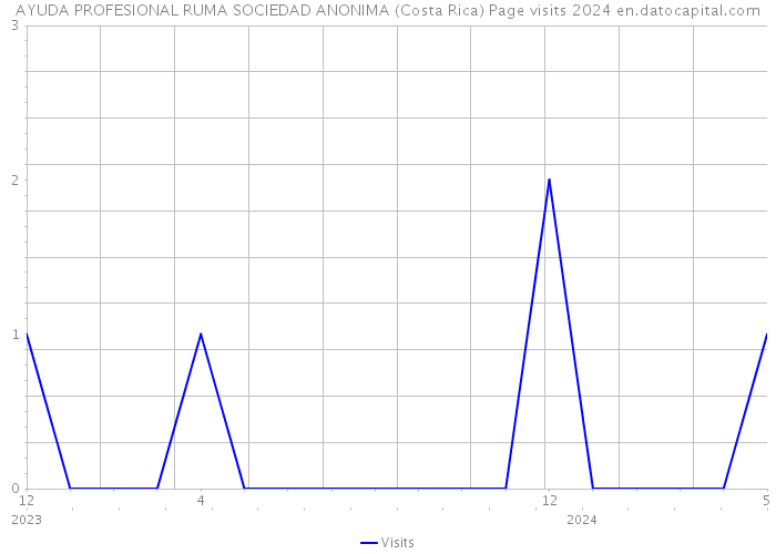 AYUDA PROFESIONAL RUMA SOCIEDAD ANONIMA (Costa Rica) Page visits 2024 