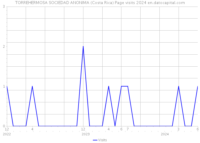 TORREHERMOSA SOCIEDAD ANONIMA (Costa Rica) Page visits 2024 