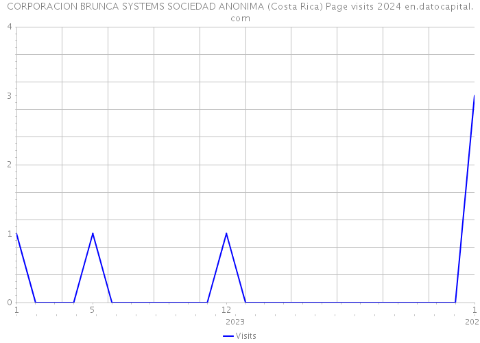 CORPORACION BRUNCA SYSTEMS SOCIEDAD ANONIMA (Costa Rica) Page visits 2024 