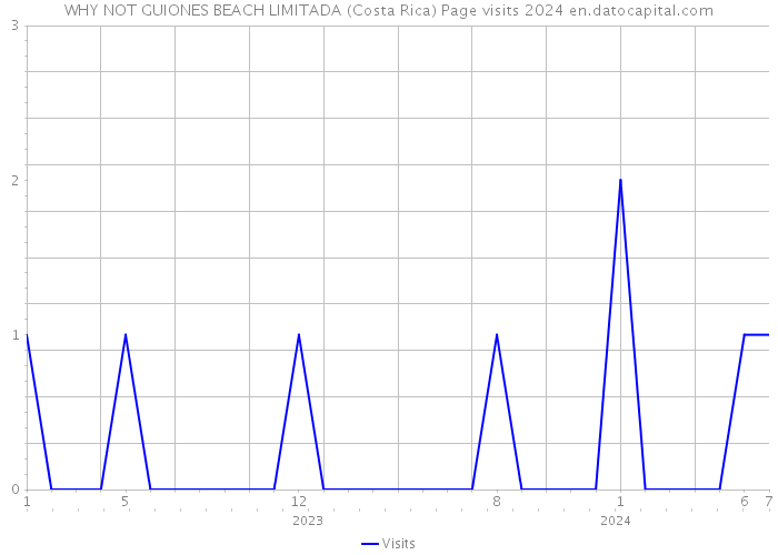 WHY NOT GUIONES BEACH LIMITADA (Costa Rica) Page visits 2024 