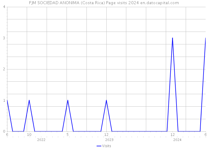 FJM SOCIEDAD ANONIMA (Costa Rica) Page visits 2024 