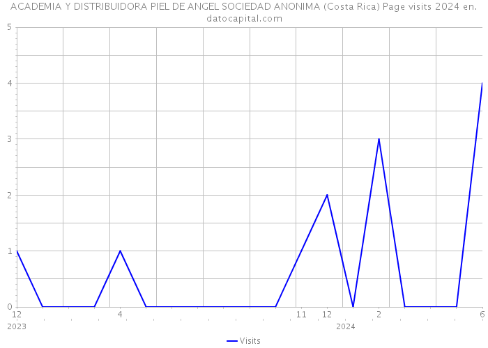 ACADEMIA Y DISTRIBUIDORA PIEL DE ANGEL SOCIEDAD ANONIMA (Costa Rica) Page visits 2024 
