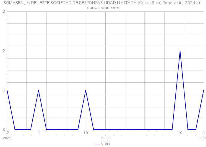 SOMABER J M DEL ESTE SOCIEDAD DE RESPONSABILIDAD LIMITADA (Costa Rica) Page visits 2024 