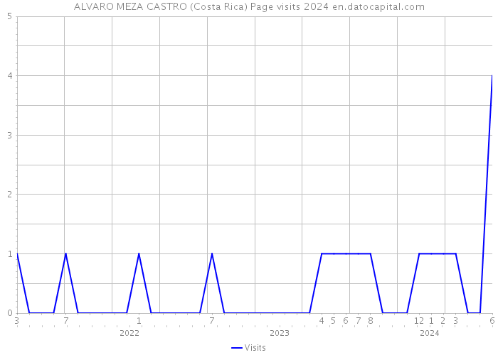 ALVARO MEZA CASTRO (Costa Rica) Page visits 2024 