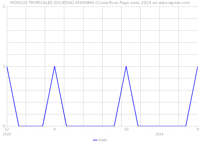 HONGOS TROPICALES SOCIEDAD ANONIMA (Costa Rica) Page visits 2024 