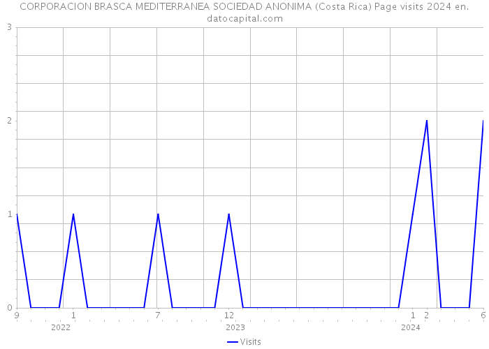 CORPORACION BRASCA MEDITERRANEA SOCIEDAD ANONIMA (Costa Rica) Page visits 2024 