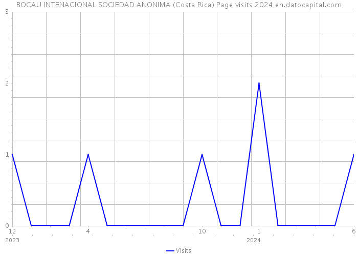 BOCAU INTENACIONAL SOCIEDAD ANONIMA (Costa Rica) Page visits 2024 