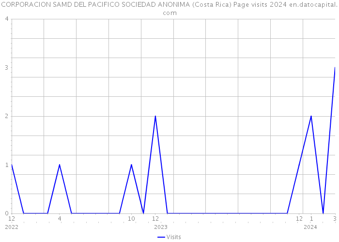 CORPORACION SAMD DEL PACIFICO SOCIEDAD ANONIMA (Costa Rica) Page visits 2024 