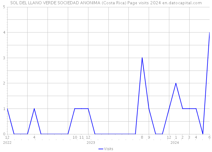 SOL DEL LLANO VERDE SOCIEDAD ANONIMA (Costa Rica) Page visits 2024 