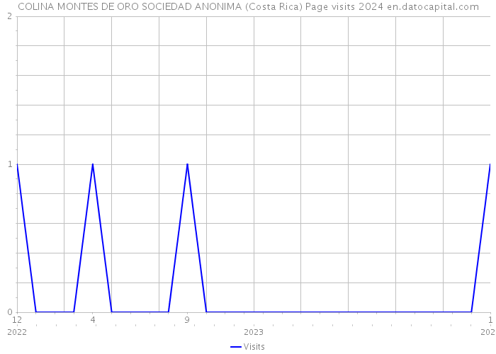 COLINA MONTES DE ORO SOCIEDAD ANONIMA (Costa Rica) Page visits 2024 