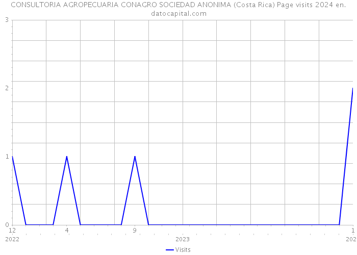 CONSULTORIA AGROPECUARIA CONAGRO SOCIEDAD ANONIMA (Costa Rica) Page visits 2024 