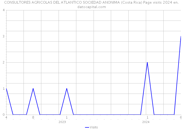 CONSULTORES AGRICOLAS DEL ATLANTICO SOCIEDAD ANONIMA (Costa Rica) Page visits 2024 