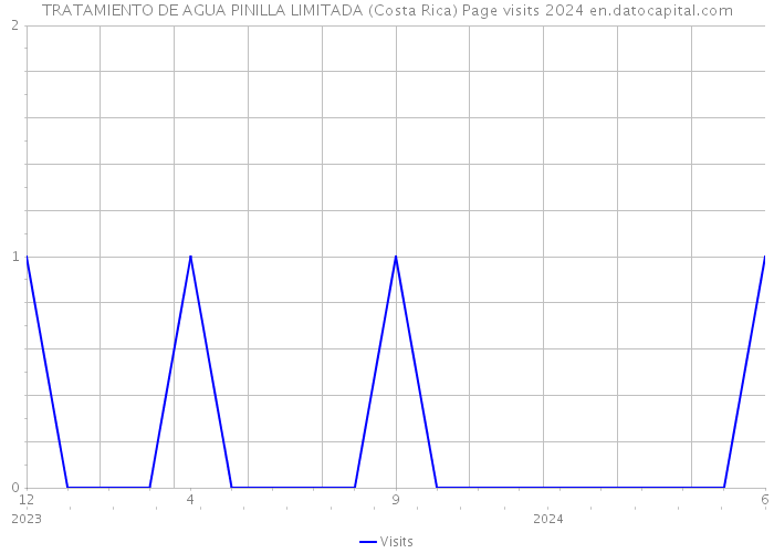 TRATAMIENTO DE AGUA PINILLA LIMITADA (Costa Rica) Page visits 2024 