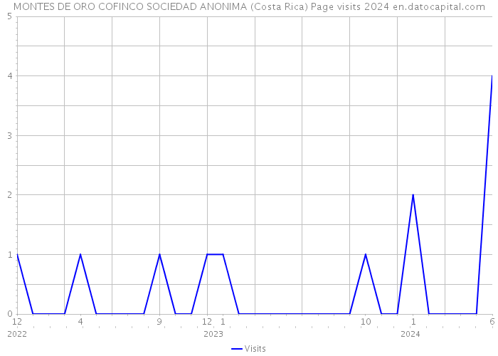 MONTES DE ORO COFINCO SOCIEDAD ANONIMA (Costa Rica) Page visits 2024 