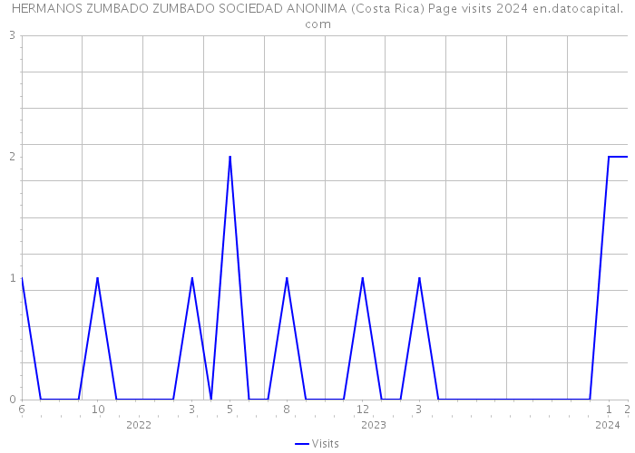 HERMANOS ZUMBADO ZUMBADO SOCIEDAD ANONIMA (Costa Rica) Page visits 2024 