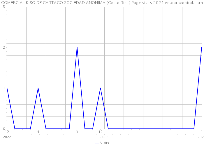 COMERCIAL KISO DE CARTAGO SOCIEDAD ANONIMA (Costa Rica) Page visits 2024 