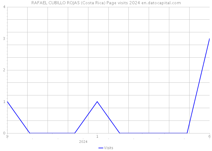RAFAEL CUBILLO ROJAS (Costa Rica) Page visits 2024 