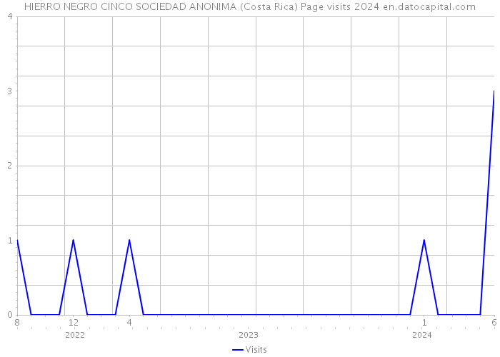 HIERRO NEGRO CINCO SOCIEDAD ANONIMA (Costa Rica) Page visits 2024 
