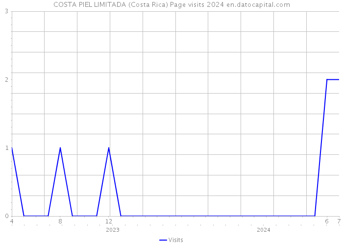 COSTA PIEL LIMITADA (Costa Rica) Page visits 2024 