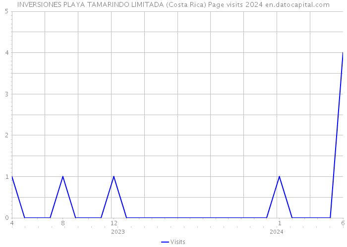 INVERSIONES PLAYA TAMARINDO LIMITADA (Costa Rica) Page visits 2024 