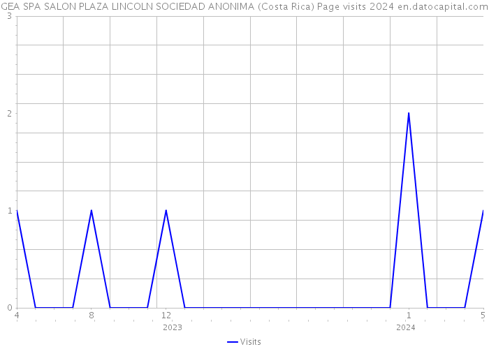 GEA SPA SALON PLAZA LINCOLN SOCIEDAD ANONIMA (Costa Rica) Page visits 2024 