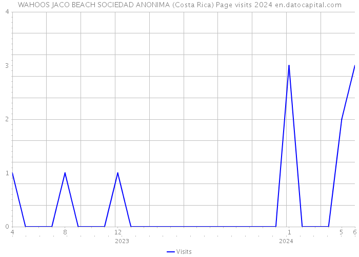 WAHOOS JACO BEACH SOCIEDAD ANONIMA (Costa Rica) Page visits 2024 