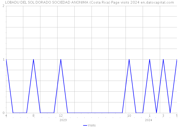 LOBADU DEL SOL DORADO SOCIEDAD ANONIMA (Costa Rica) Page visits 2024 