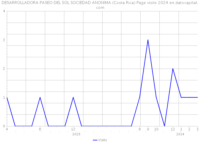 DESARROLLADORA PASEO DEL SOL SOCIEDAD ANONIMA (Costa Rica) Page visits 2024 