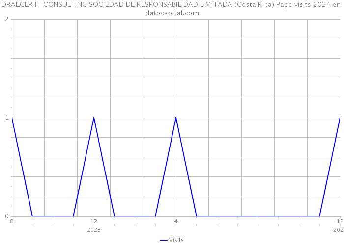 DRAEGER IT CONSULTING SOCIEDAD DE RESPONSABILIDAD LIMITADA (Costa Rica) Page visits 2024 