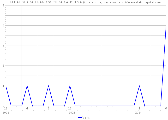 EL PEDAL GUADALUPANO SOCIEDAD ANONIMA (Costa Rica) Page visits 2024 
