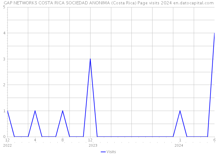 GAP NETWORKS COSTA RICA SOCIEDAD ANONIMA (Costa Rica) Page visits 2024 