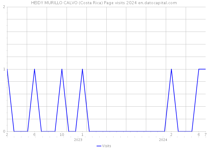 HEIDY MURILLO CALVO (Costa Rica) Page visits 2024 