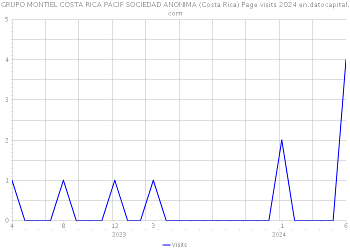 GRUPO MONTIEL COSTA RICA PACIF SOCIEDAD ANONIMA (Costa Rica) Page visits 2024 