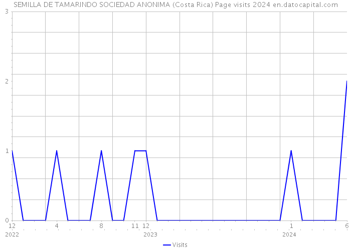 SEMILLA DE TAMARINDO SOCIEDAD ANONIMA (Costa Rica) Page visits 2024 