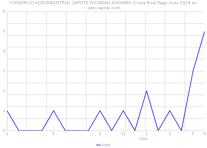 CONSORCIO AGROINDUSTRIAL ZAPOTE SOCIEDAD ANONIMA (Costa Rica) Page visits 2024 