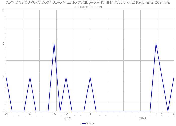 SERVICIOS QUIRURGICOS NUEVO MILENIO SOCIEDAD ANONIMA (Costa Rica) Page visits 2024 
