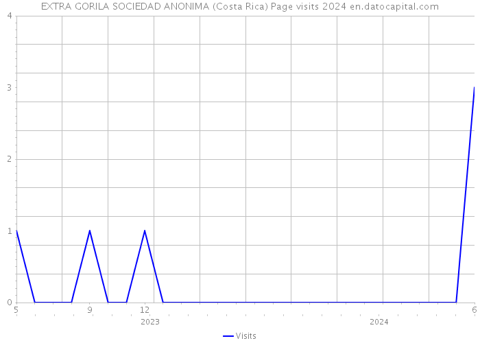 EXTRA GORILA SOCIEDAD ANONIMA (Costa Rica) Page visits 2024 