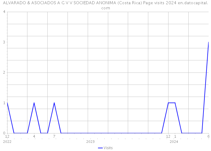 ALVARADO & ASOCIADOS A G V V SOCIEDAD ANONIMA (Costa Rica) Page visits 2024 