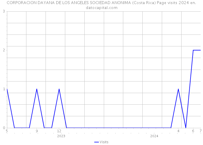 CORPORACION DAYANA DE LOS ANGELES SOCIEDAD ANONIMA (Costa Rica) Page visits 2024 